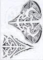 Maori 228